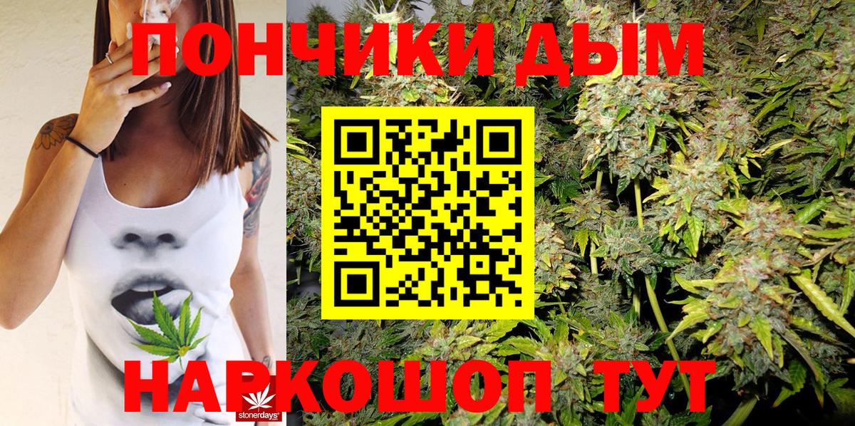 Заволжье  Конопля гибрид  Вход с VPN  Шишки марихуана сатива  Бошки марихуана SATIVA & INDICA 